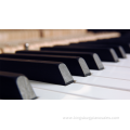 Professional grand piano for sale